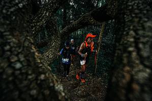 BIB: 
                            <button type="button" onclick="openModal(25687753)" class="btn btn-primary btn-sm float-right btn-popup" data-toggle="modal" data-target=".modal-high-quality">
                        <i class="fas fa-shopping-cart"></i> Add to Cart
                    </button>
                                            <button type="button" onclick="isThisMe(25687753, true)" class="btn btn-success btn-sm float-right btn-popup btn-isme hidden" data-toggle="tooltip" data-placement="bottom" title="นี่คือรูปของคุณใช่ไหม คลิกที่นี่เพื่อเอาเข้าอัลบั้ม">
                        <i class="fas fa-plus"></i> Add to album
                    </button>
                    <button type="button" onclick="isThisMe(25687753, false)" class="btn btn-warning btn-sm float-right btn-popup btn-isnotme hidden">
                        <i class="fas fa-ban"></i> Remove from album
                    </button>